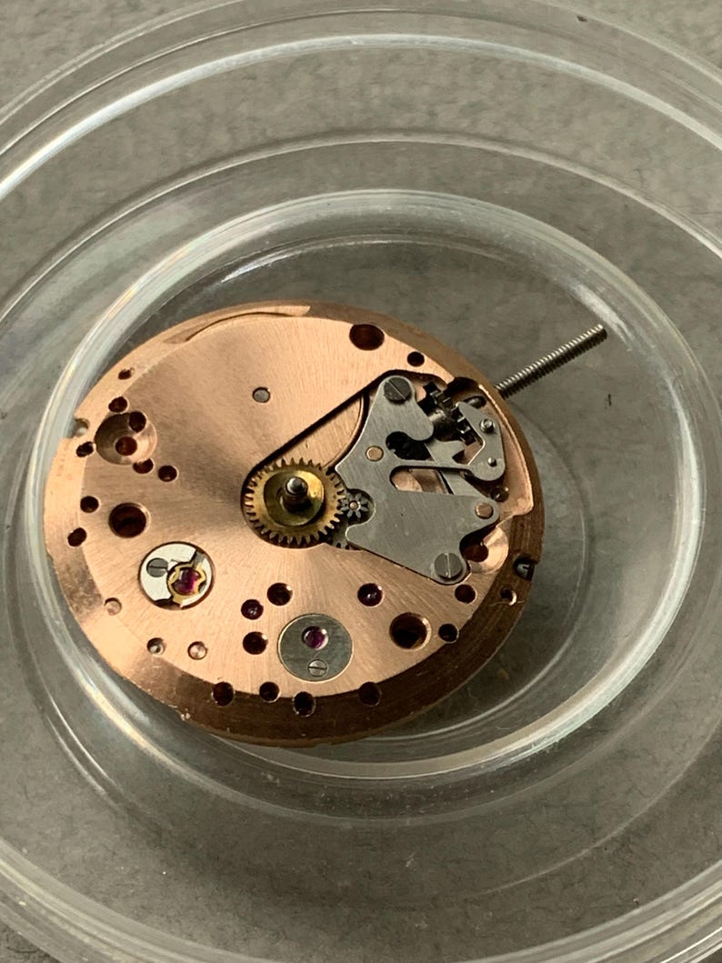 May include: Close-up of a watch movement with a copper-colored base. The intricate mechanism features small gears, screws, and a silver-colored balance wheel. The movement is set in a clear, circular container.