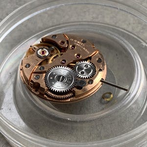 May include: A close-up of a watch movement with gold-colored gears, a silver-colored gear, and red jewels. The text "17 JEWELS SWISS MADE" is visible. The movement is inside a clear plastic container.