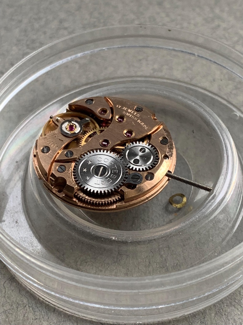 May include: A close-up of a watch movement with gold-colored gears, a silver-colored gear, and red jewels. The text "17 JEWELS SWISS MADE" is visible. The movement is inside a clear plastic container.