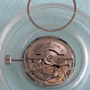 May include: A disassembled Citizen watch movement with the text "CITIZEN JAPAN 21 JEWELS" visible. The watch mechanism is silver-colored with intricate gears and a small red jewel. A silver-colored ring and a clear plastic holder surround the movement.