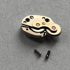 Puede incluir: Primer plano de un movimiento de reloj con engranajes, tornillos y una placa dorada. Los engranajes están engranados y los tornillos son pequeños y oscuros. El mecanismo del reloj está sobre una superficie gris.