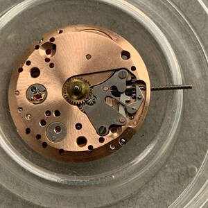 May include: Close-up of a watch movement with copper-colored plates and gears. The intricate mechanism features small screws, jewels, and a balance wheel. A long, thin screw extends from the side. The movement is set in a clear, circular container.