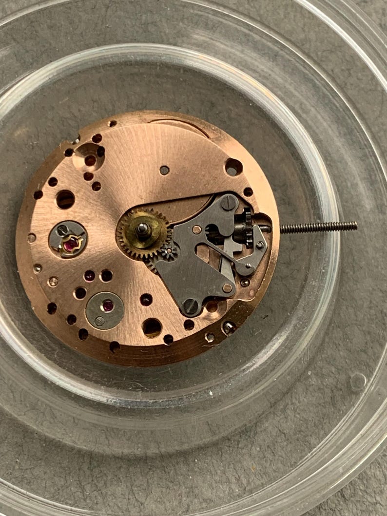 May include: Close-up of a watch movement with copper-colored plates and gears. The intricate mechanism features small screws, jewels, and a balance wheel. A long, thin screw extends from the side. The movement is set in a clear, circular container.