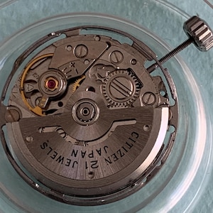May include: Close-up of a Citizen 21 Jewels watch movement. The silver-toned mechanism features intricate gears, a red jewel, and the text "CITIZEN JAPAN" and "21 JEWELS". A silver screw and crown are attached.