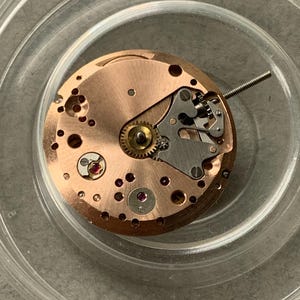 May include: Close-up of a watch movement with a copper-colored base, featuring intricate gears, screws, and a balance wheel. Small red jewels are visible, adding a pop of color. The movement is set in a clear, round container.