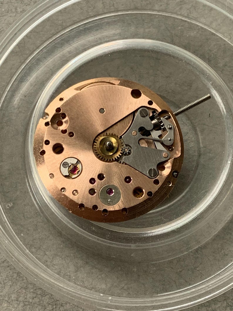May include: Close-up of a watch movement with a copper-colored base, featuring intricate gears, screws, and a balance wheel. Small red jewels are visible, adding a pop of color. The movement is set in a clear, round container.