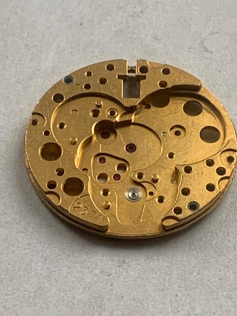 May include: Close-up of a gold-colored watch movement component. The circular piece has numerous holes, intricate cutouts, and small red jewels. The number "257" is etched on the surface. This component is likely part of a mechanical watch.