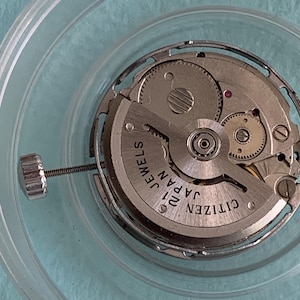 May include: A close-up of a Citizen 21 Jewels watch movement. The silver-colored mechanism features intricate gears, a winding stem, and the text "CITIZEN JAPAN". The movement is encased in a clear plastic container.