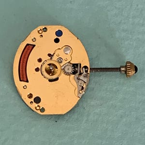 May include: A close-up of a watch movement with gold-colored components. The movement features gears, a screw, and a crown. A red-brown curved piece is on the left side. The background is a light blue-green color.