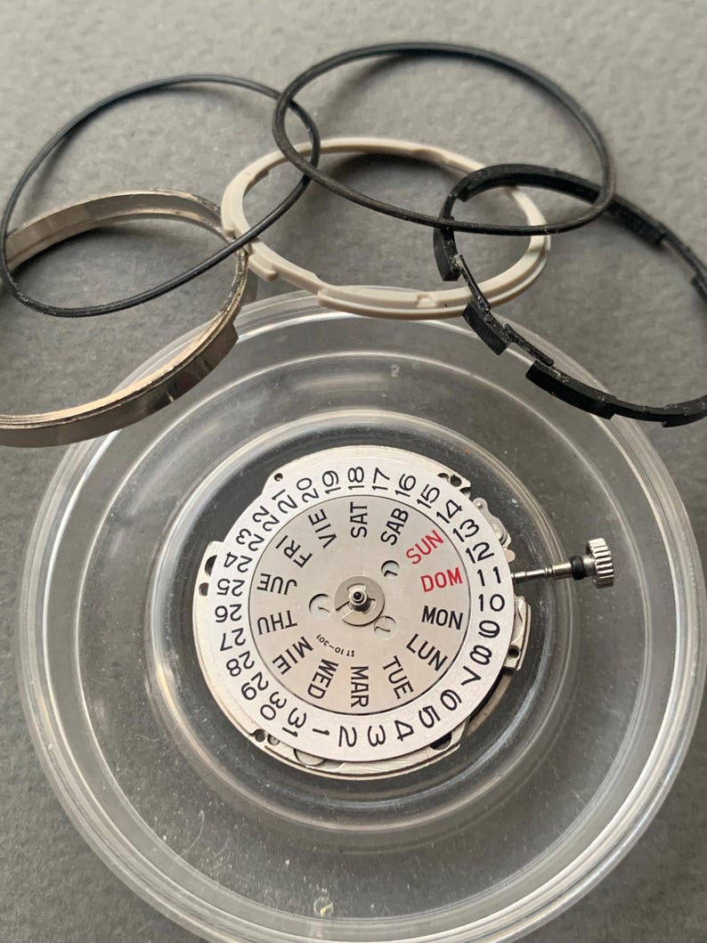 Pu&ograve; includere: Un movimento di orologio con quadrante bianco, indicatori di giorno e data e una piccola corona argentata. Diverse guarnizioni per orologi nere e bianche e un anello argentato circondano il movimento in un contenitore di plastica trasparente. Il quadrante mostra i giorni della settimana.