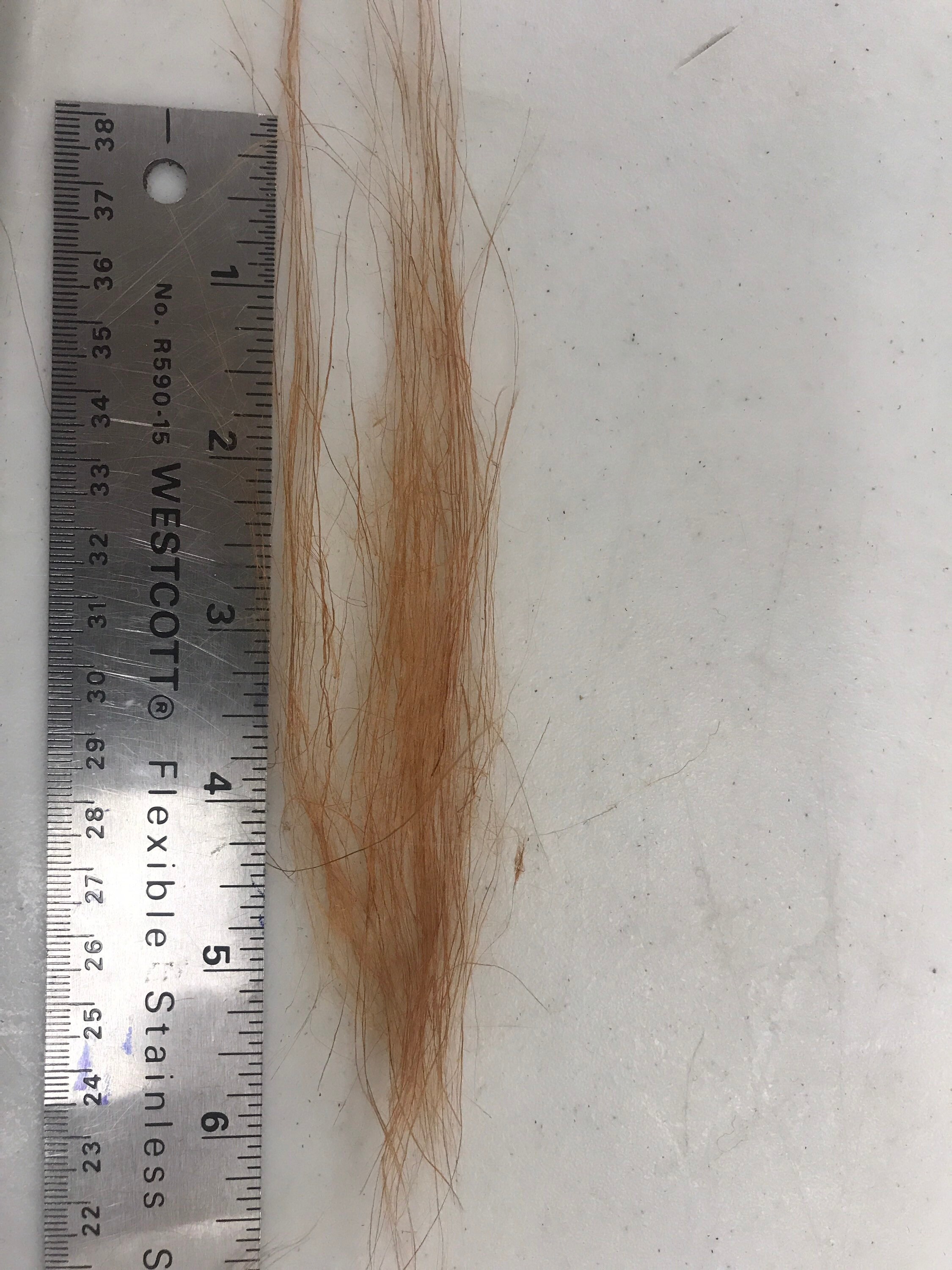 Flax Linen Roving 100 Grams 3.5oz 31 Colours Available | Etsy