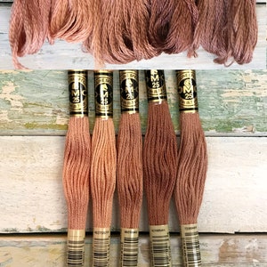 May include: Five spools of DMC embroidery floss in shades of pink and brown. The spools are labeled with the numbers 758, 3771, 3064, 3772, and 3773.
