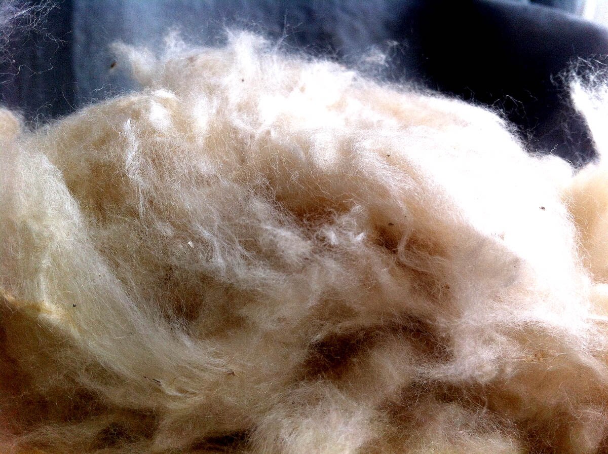 Kapok Fibre for Stuffing 100 Natural Java Cotton Etsy UK