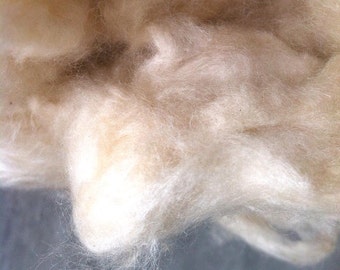 Kapok Fibre for Stuffing, 100% Natural, Java Cotton, silk-cotton, Samauma, Ceiba.