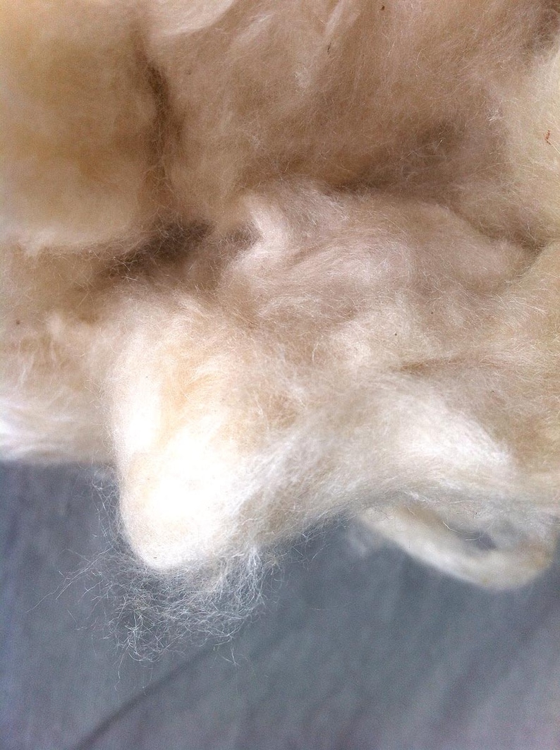 Kapok Fibre for Stuffing 100 Natural Java Cotton Etsy