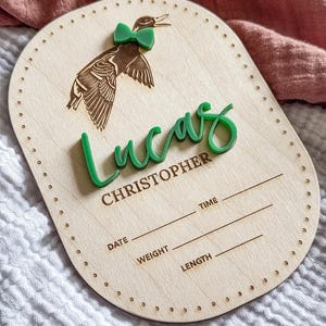 Birth Announcement Sign Boy Baby Name Announcement Sign Birth Stat Mallard Duck Boy Nursery Decor Birth Stats Woodland Pond Hospital Country
