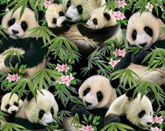 Panda Bear Fabric Elizabeth's Studio Panda Bears -Panda Bears & Bamboo On Black - FQ 1230E-BLK