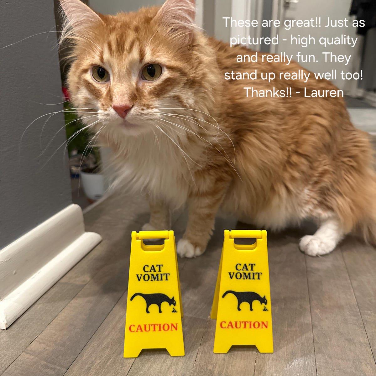 Panneau Humour 'Vomi De Chat' – Style C, En Plastique, 7,9x4,5 Cm