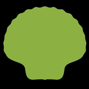 May include: A green seashell with a smooth, rounded surface and a slightly wavy edge.