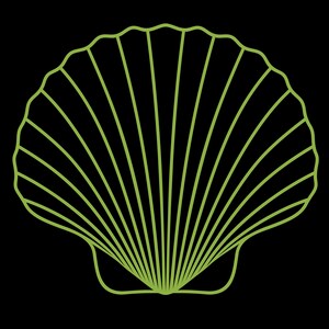 May include: A green outline of a seashell with a ribbed texture.