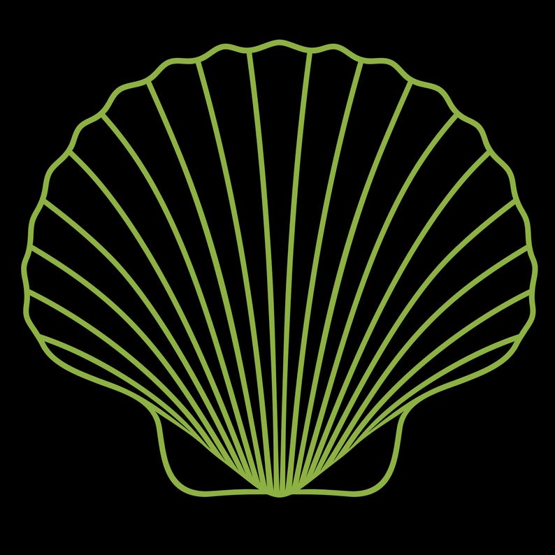 May include: A green outline of a seashell with a ribbed texture.