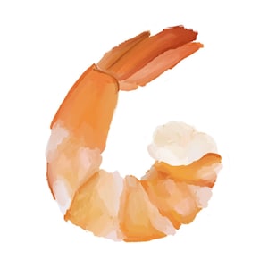 Shrimp Illustration JPG | Coastal Shrimp Art | Cricut Name Tag Graphic | Printable Shrimp Image | Digital Download