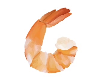 Shrimp Illustration JPG | Coastal Shrimp Art | Cricut Name Tag Graphic | Printable Shrimp Image | Digital Download