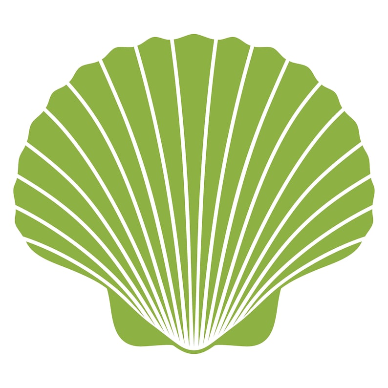 May include: A green seashell with white lines radiating from the center.
