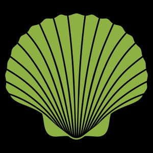 May include: A green seashell with a ribbed texture. The shell is closed and has a smooth, rounded shape.