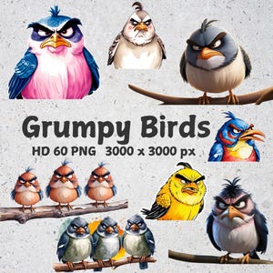 Grumpy Birds Clipart, Annoyed Birds Clipart, Funny Birds, PNG Birds, Cute Fluffy Birds, Digital Clipart, PNG de alta qualidade, clipart para impressão