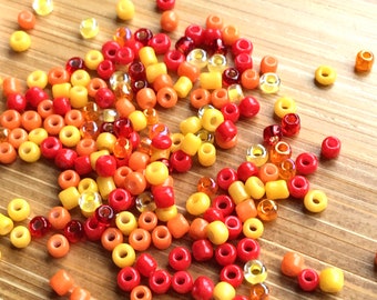 Seed Bead Mix - Fire - 12/0