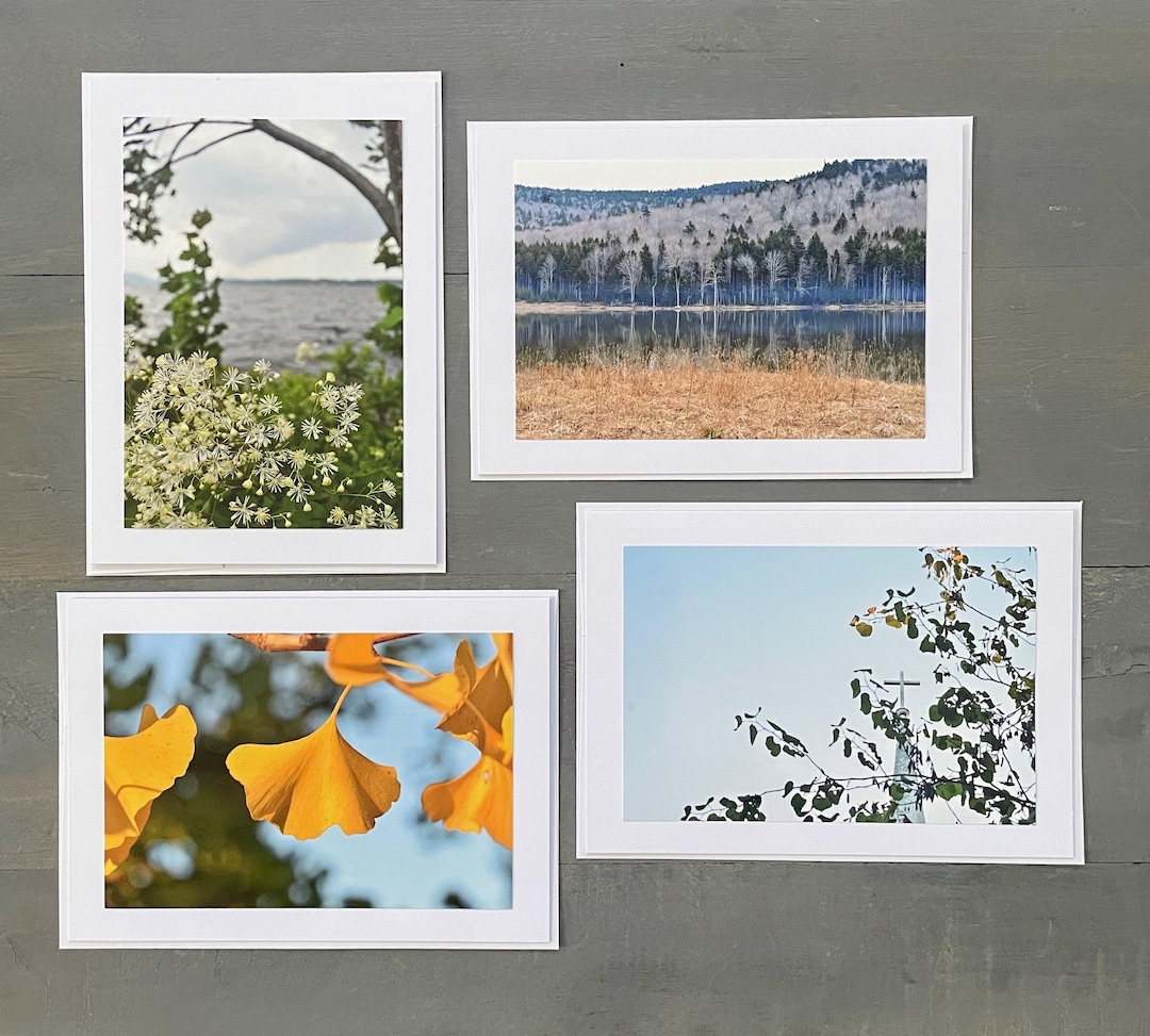 Nature Photo Cards: All Occasion Greeting Cards, Set of Four - Etsy