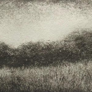 Puede incluir: Una impresión de paisaje en blanco y negro que representa un campo de hierba alta en primer plano, con una línea de arbustos o árboles oscuros y texturizados en el segundo plano. El cielo es de un tono más claro, lo que sugiere un día nublado.