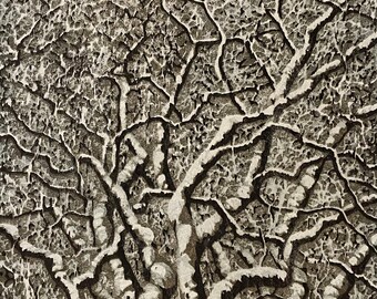 Tree No. 23 OOAK hand-pulled woodblock reduction moku haga fine art print