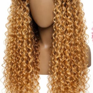 Op de afbeelding: Een lange, krullende pruik met een donkerbruine aanzet die overgaat in een levendige goudblonde tint. Het haar heeft een gedefinieerde middenscheiding en een lace front constructie, met strakke, spiraalvormige krullen die over de schouders vallen.