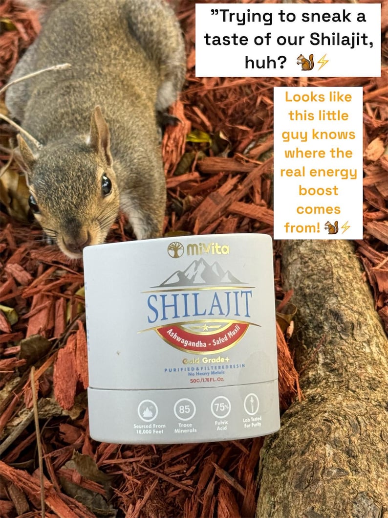 One of the more intelligent squirrels