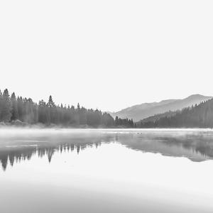Può includere: Una fotografia in bianco e nero di un lago con una nebbia fumosa sull'acqua. Il lago è circondato da alberi su entrambi i lati. Gli alberi si riflettono nell'acqua.