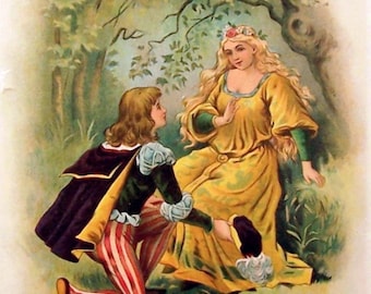 Vintage Graciosa and Piercinet Custom Framed Illustration