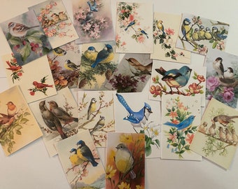 Style Vintage Oiseaux-CARTES/die cuts/étiquettes-cadeaux 60 Pièce Sweet Wildbirds-revues