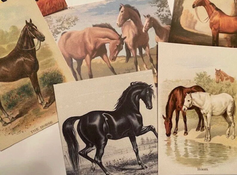 Vintage Style HorseHorses CARDSDIE CUTSGift Tags 24 Piece-12 Styles-Junk Journals-Journal supply-Card Making