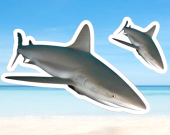 Dabbing Shark Vinyl Sticker - 5x3.4 Inch Car Window Decal