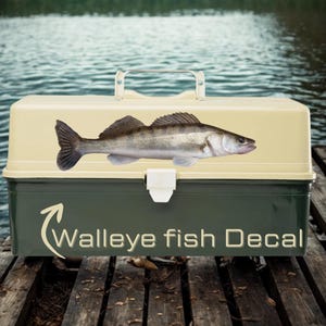 Pegatina de pez lucioperca – Pegatina de pesca realista – Regalo para pescadores de agua dulce – Decoración para la casa del lago – Incluye mini pegatinas de regalo