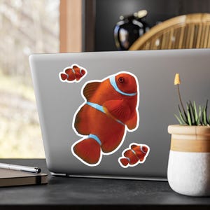 Vinyl Decals, Clownfish Aquarium Fish Pretty Design, Underwater Ocean Sticker, Laptop Decal, Car Decal, Phone Decal, Marine Life Decoration,