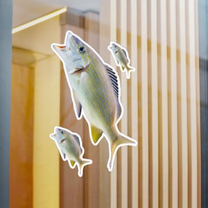 Colorful Fish Kiss-Cut Vinyl Decals - Fun Aquarium Decor, Stylish Window Stickers, Unique Gifts for Fish Lovers, Perfect for Home Decor,