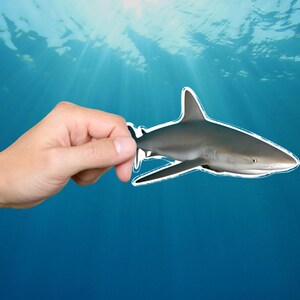 Cool sticker sticker rifhaai, waterdicht vinyl voor bekers, auto's, boten en ramen, UV-bestendig, Shark Sicker, vinyl sticker haai