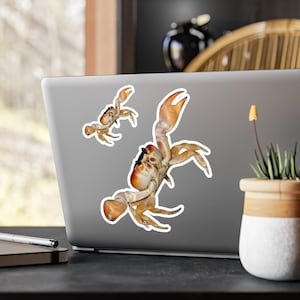Crab Kiss-Cut Vinyl Decals, Cute Crab Sticker for Ocean Lovers, Home Decor, Laptop Sticker, Gift for Marine Life Enthusiasts