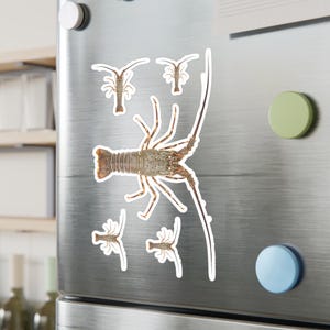 Lobster Kiss-Cut Vinyl Decals for Home Decor, Unique Wall Stickers, Seafood Lover Gifts, Beach House Decor, Fun Laptop Stickers