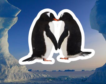 Adorable Penguin Love Kiss-Cut Vinyl Decals, Cute Stickers for Couples, waterproof sticker, Penguin decal, penguin lover, tumbler sticker