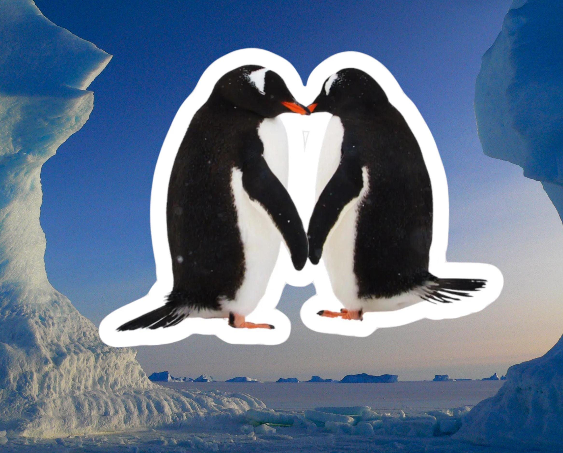 Penguinloveです♡ il_fullxfull.6792428009_qn6v.jpg