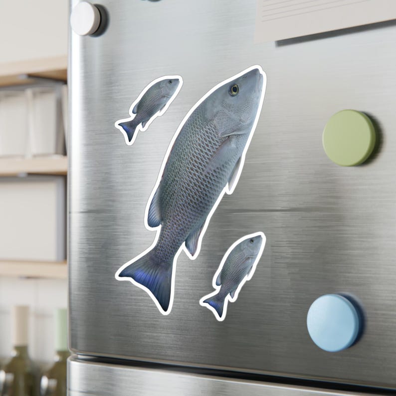 Mangrove Snapper Fish Vinyl Decal, Waterproof Laptop Sticker - Etsy ...